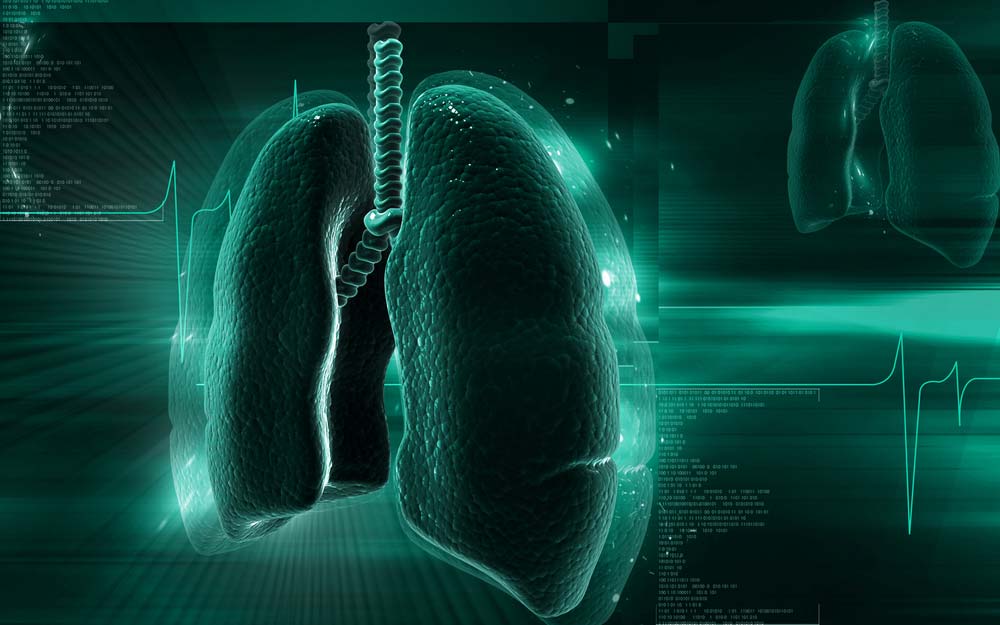 Human lungs